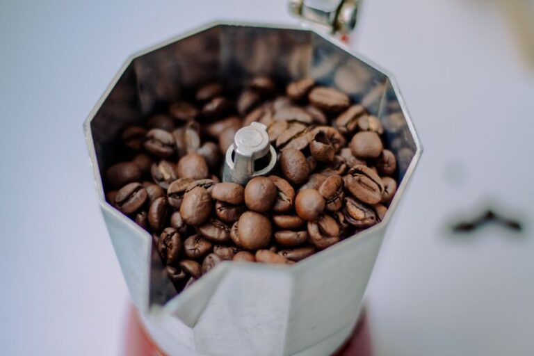 Best Bean to Coffee Makers Worth Buying in 2026