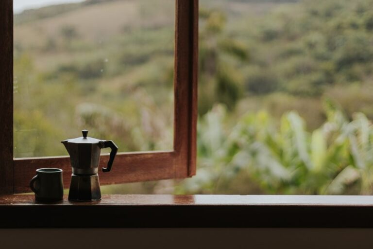Best Brazilian Coffee Makers Buying Guide for 2026