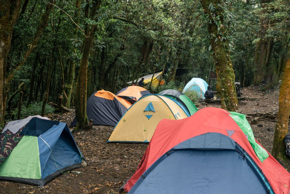 Best Camping Tents Compared and Ranked in 2026