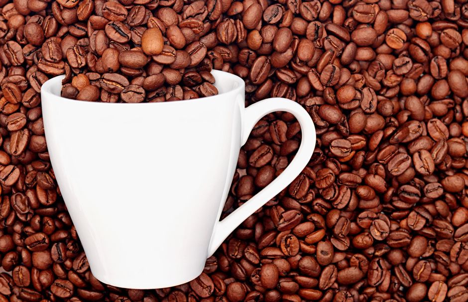 Best Whole Bean Coffee Makers Worth Buying in 2026